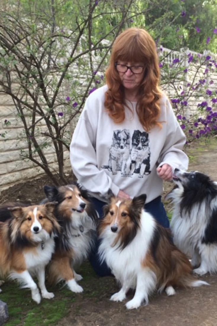 Woman sitting outdoors with four Shetland Sheepdogs in a garden